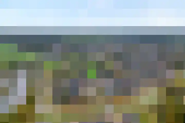 De Hof 8 Geesteren thumbnail 31