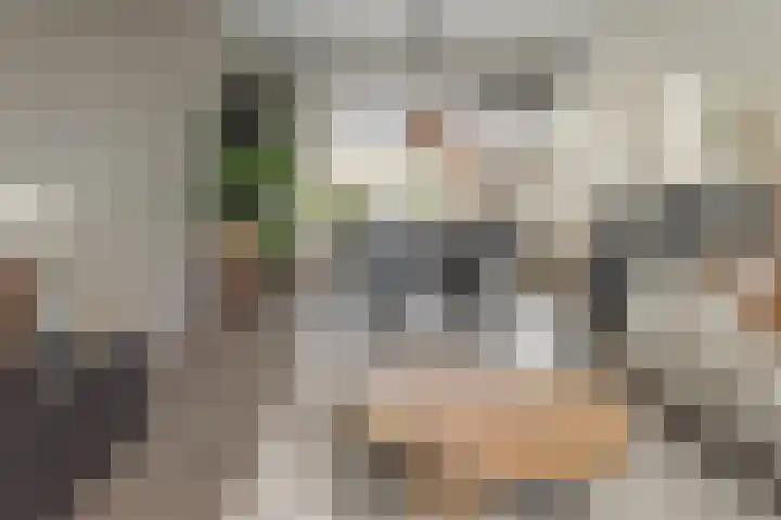 De Hofcamp 41 Joure thumbnail 10