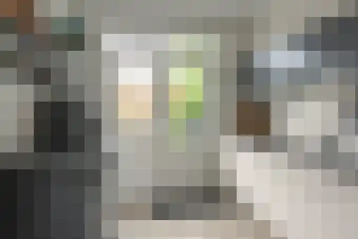 De Hofcamp 41 Joure thumbnail 12