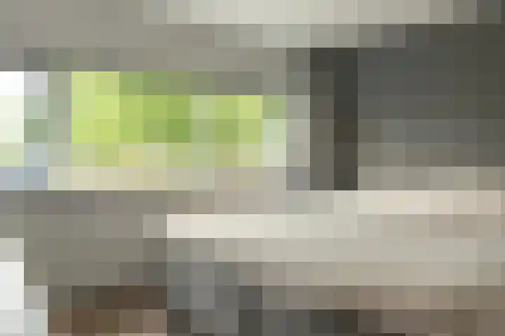 De Hofcamp 41 Joure thumbnail 19