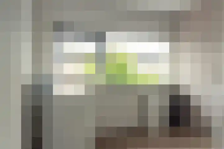 De Hofcamp 41 Joure thumbnail 24