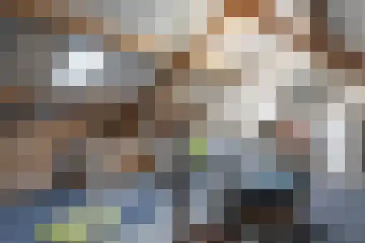 De Hofcamp 41 Joure thumbnail 26