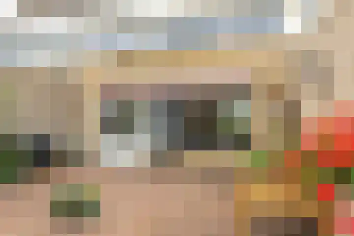 De Hofcamp 41 Joure thumbnail 27