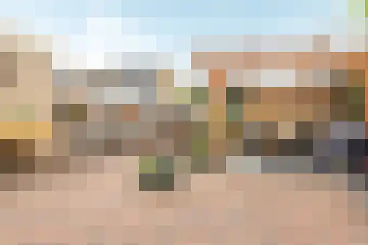 De Hofcamp 41 Joure thumbnail 28