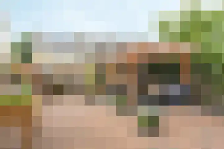 De Hofcamp 41 Joure thumbnail 29