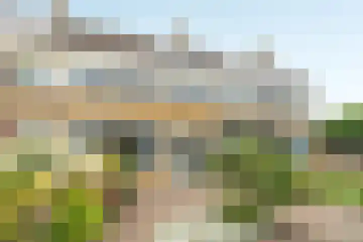 De Hofcamp 41 Joure thumbnail 31