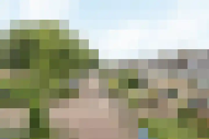 De Hofcamp 41 Joure thumbnail 32