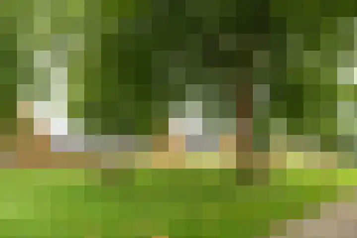 De Hofcamp 41 Joure thumbnail 33