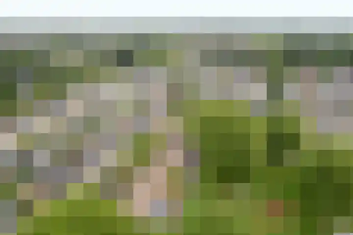 De Hofcamp 41 Joure thumbnail 35