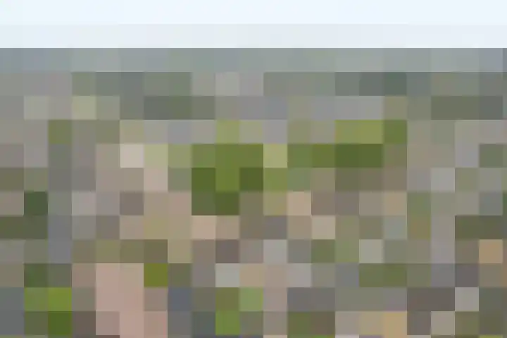 De Hofcamp 41 Joure thumbnail 36