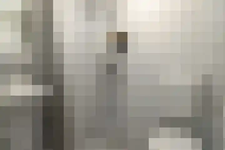 De Hofcamp 41 Joure thumbnail 5