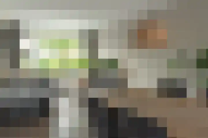 De Hofcamp 41 Joure thumbnail 7