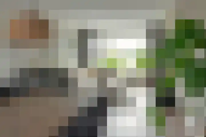 De Hofcamp 41 Joure thumbnail 8