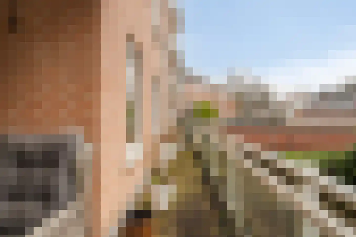 de Hofnar 19 Valkenswaard thumbnail 13