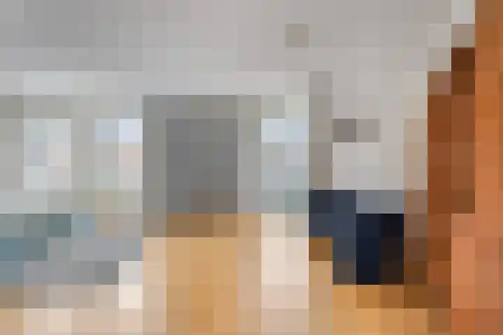 de Hofnar 37 Valkenswaard thumbnail 12
