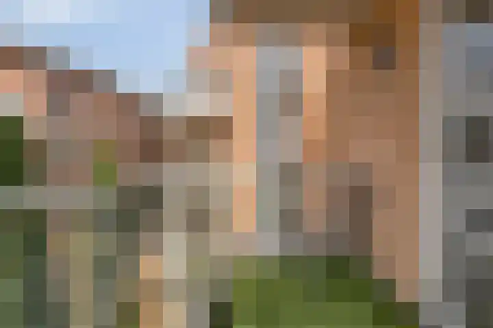 de Hofnar 37 Valkenswaard thumbnail 16