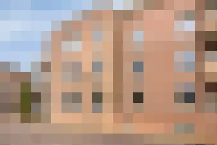 de Hofnar 37 Valkenswaard thumbnail 23