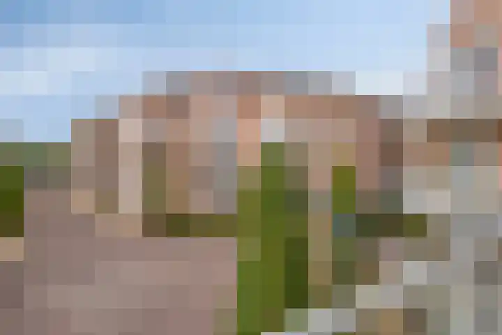 de Hofnar 37 Valkenswaard thumbnail 24