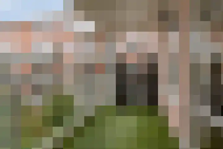de Hofnar 37 Valkenswaard thumbnail 25