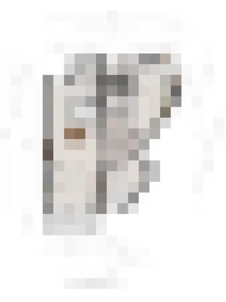 de Hofnar 37 Valkenswaard thumbnail 33