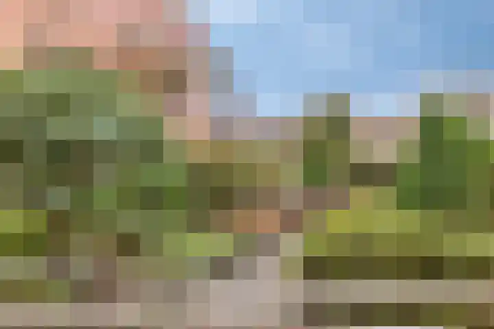 de Hofnar 44 Valkenswaard thumbnail 26