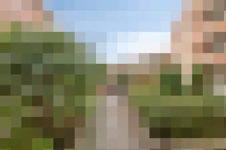 de Hofnar 44 Valkenswaard thumbnail 27