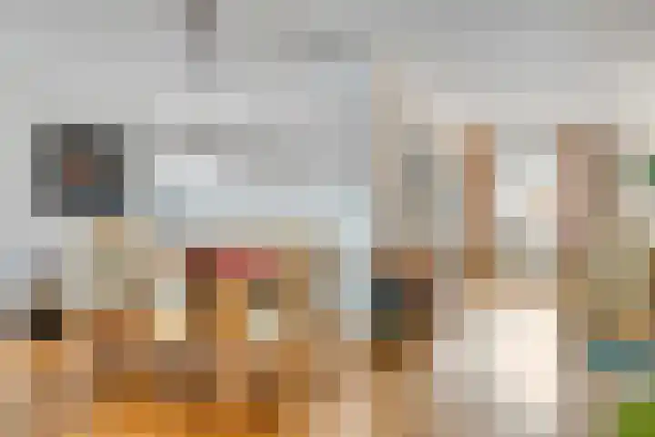 de Hofnar 44 Valkenswaard thumbnail 5