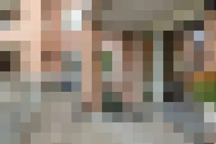 de Hofnar 44 Valkenswaard thumbnail 7
