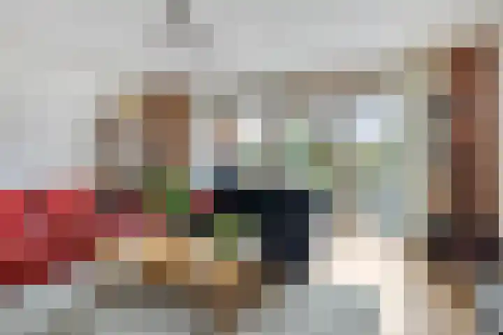 de Hofnar 44 Valkenswaard thumbnail 9