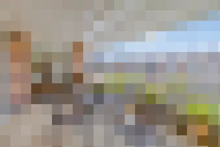 de Hofnar 54 Valkenswaard thumbnail 22