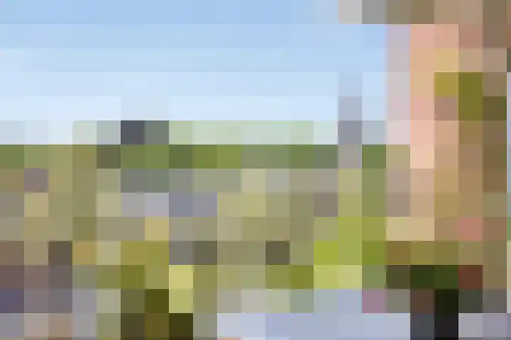de Hofnar 54 Valkenswaard thumbnail 23