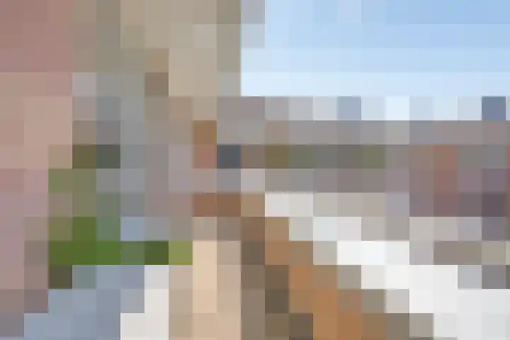 de Hofnar 54 Valkenswaard thumbnail 24