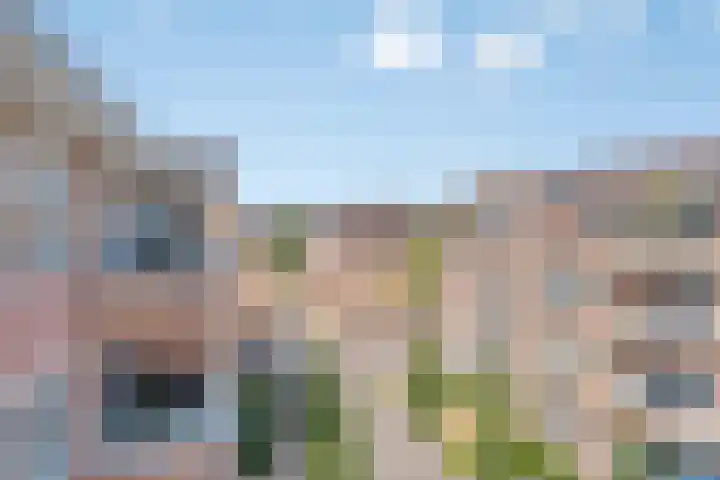 de Hofnar 54 Valkenswaard thumbnail 30