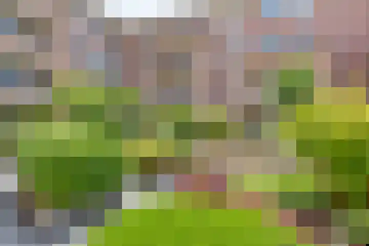 de Hofnar 54 Valkenswaard thumbnail 31