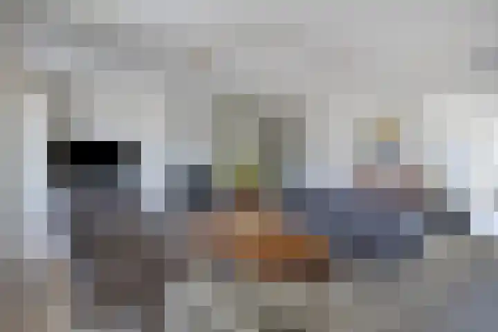 de Hofnar 54 Valkenswaard thumbnail 7
