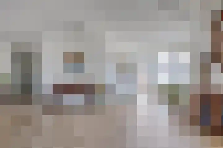 de Hofnar 54 Valkenswaard thumbnail 8