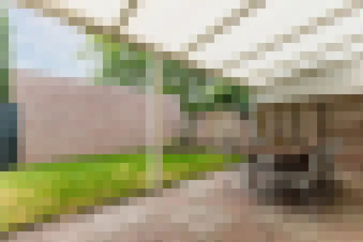 De Hofstad 14 Nuenen thumbnail 16