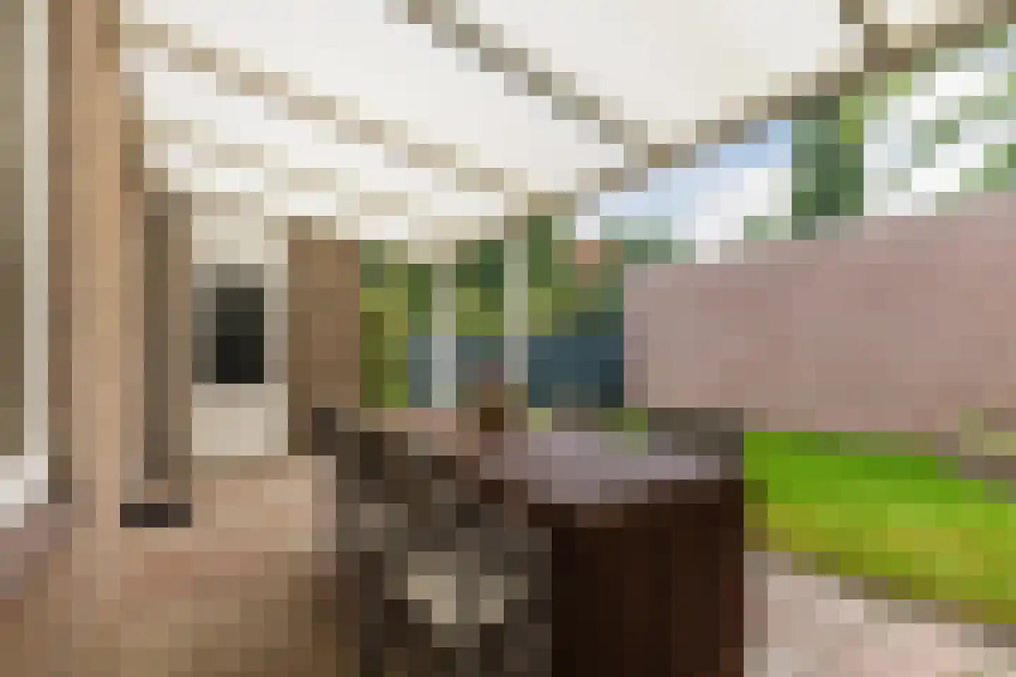 De Hofstad 14 Nuenen thumbnail 17