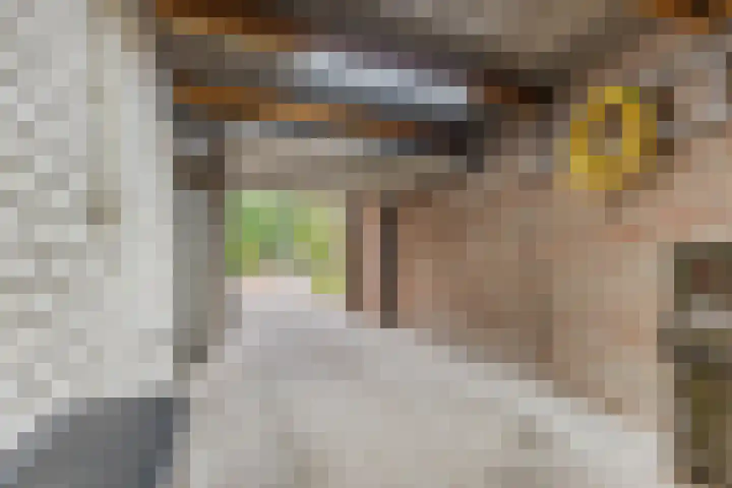 De Hofstad 14 Nuenen thumbnail 20