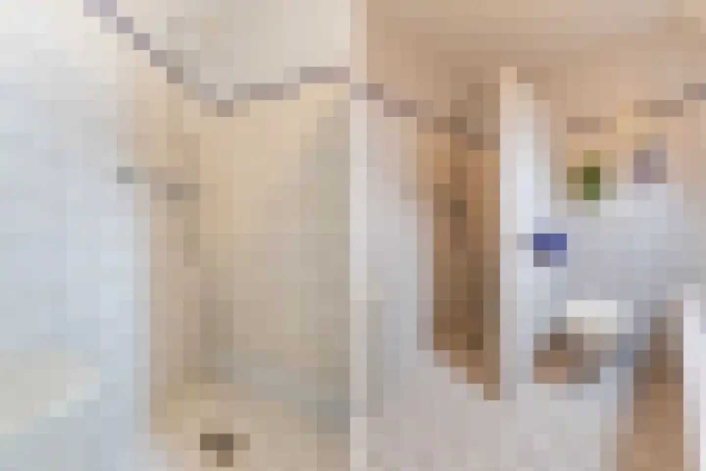 De Hofstad 14 Nuenen thumbnail 4