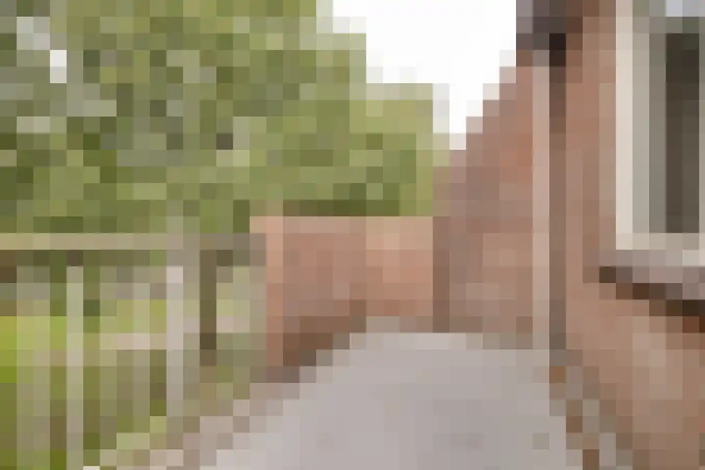 De Hofstede 101 Apeldoorn thumbnail 12