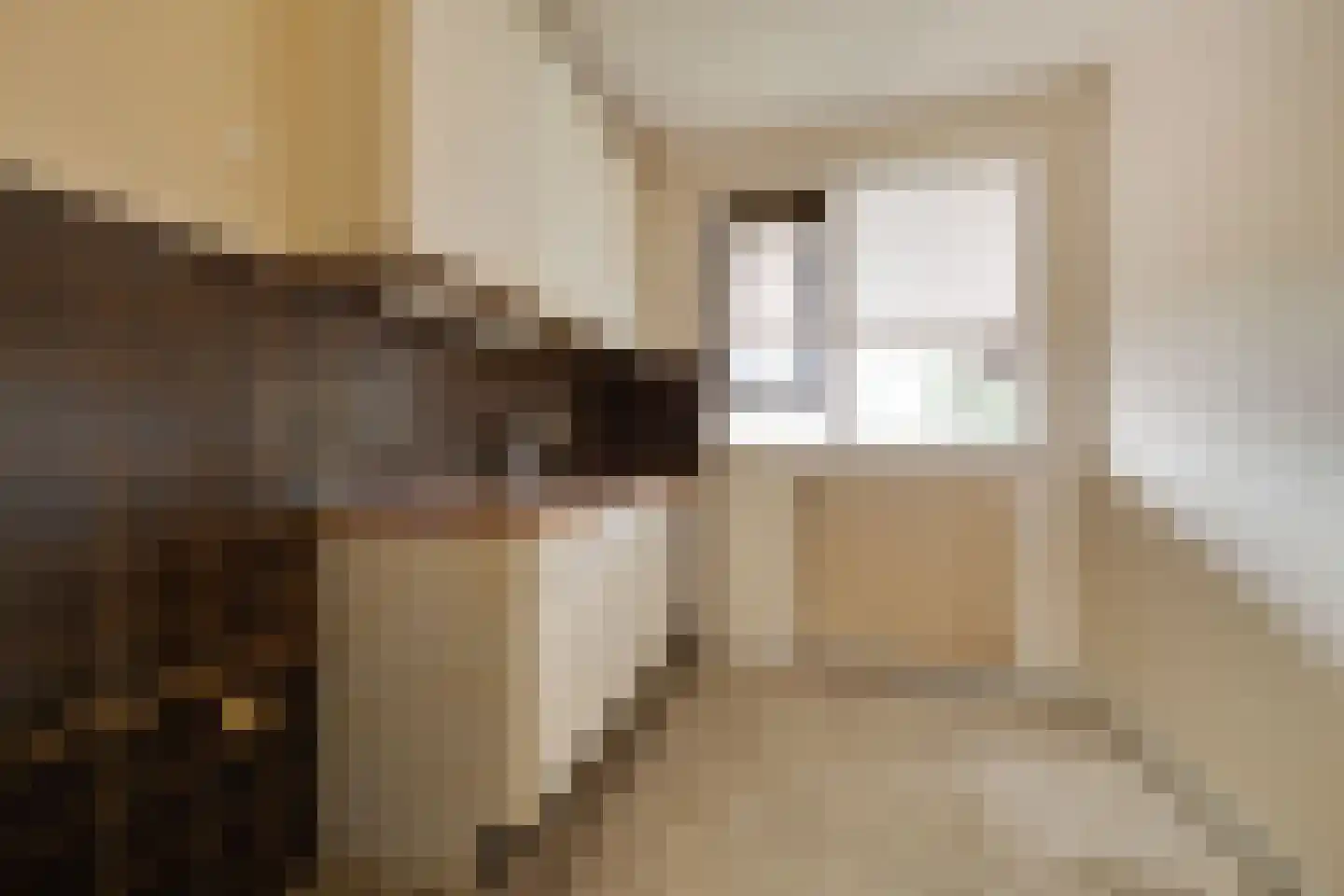 De Hofstede 101 Apeldoorn thumbnail 6