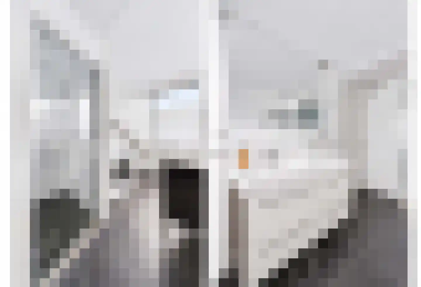 De Hofstede 11 Apeldoorn thumbnail 20