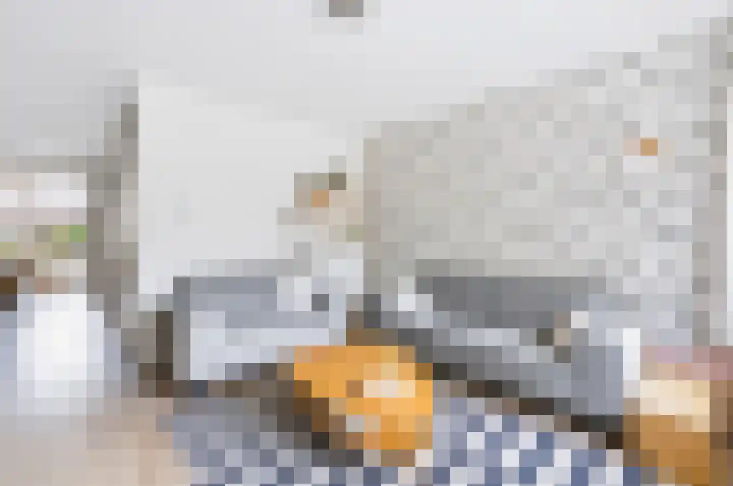 De Hofstede 11 Apeldoorn thumbnail 5