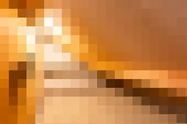 De Hofstede 12 Apeldoorn thumbnail 16