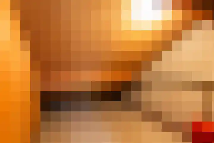 De Hofstede 12 Apeldoorn thumbnail 17