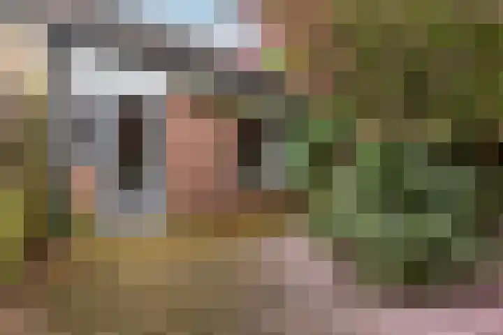 De Hofstede 12 Apeldoorn thumbnail 18