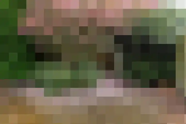 De Hofstede 12 Apeldoorn thumbnail 19