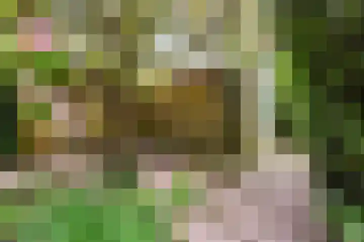 De Hofstede 12 Apeldoorn thumbnail 20