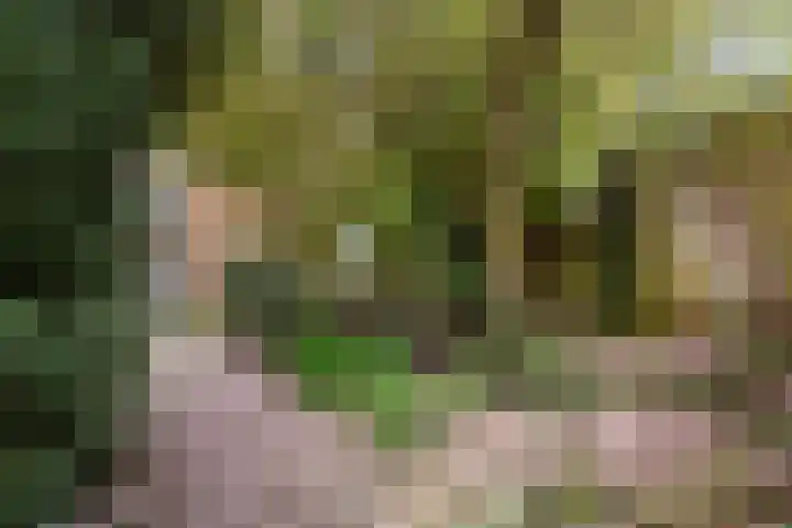 De Hofstede 12 Apeldoorn thumbnail 22